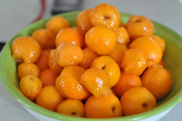 Meruňkový džem - královský recept