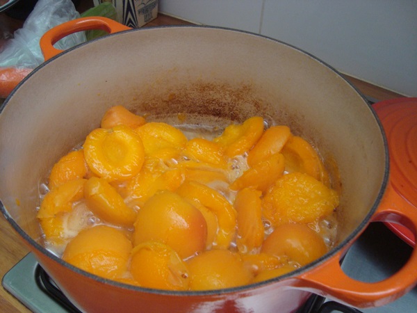 Meruňkový džem - královský recept