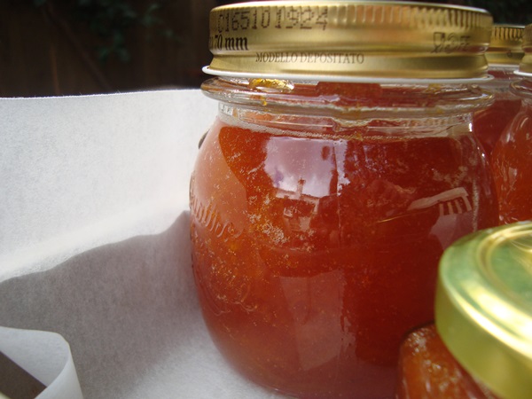 Meruňkový džem - královský recept