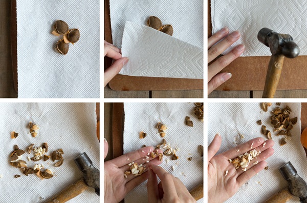 Meruňkový džem - královský recept