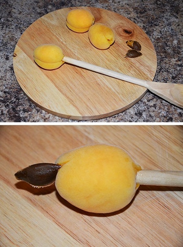 Meruňkový džem - královský recept