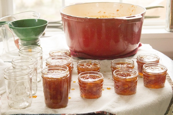 Jam z pomerančů a pomerančových peelingů: krok za krokem recepty s fotografiemi