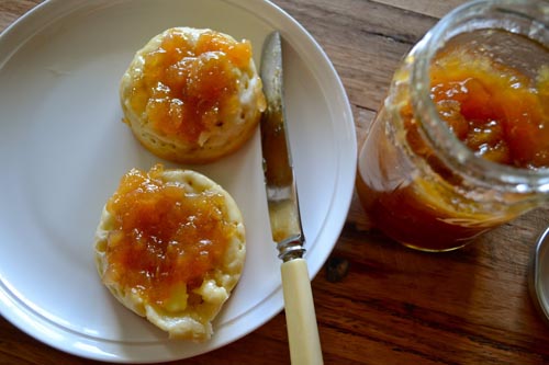 Jam z feijoa bez vaření, recept na živé džemy s fotografií