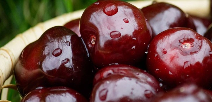 Třešeň na zimu - recepty - džem se semeny a jamkami, pět minut, džem, želé bez želatiny, třešňový kompot Třešeň na zimu - recepty - džem se semeny a jamkami, pět minut, džem, želé bez želatiny, třešňový kompot