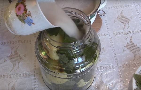 Jablka na zimu v bankách - předkrmy a recepty - namočené a klíny, kompot, džem, koláč. Jak udržovat jablka v zimě doma