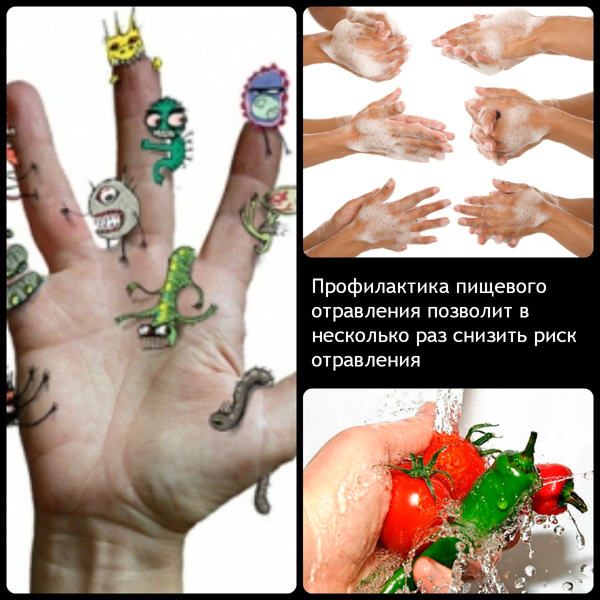 Co jíst po otravě