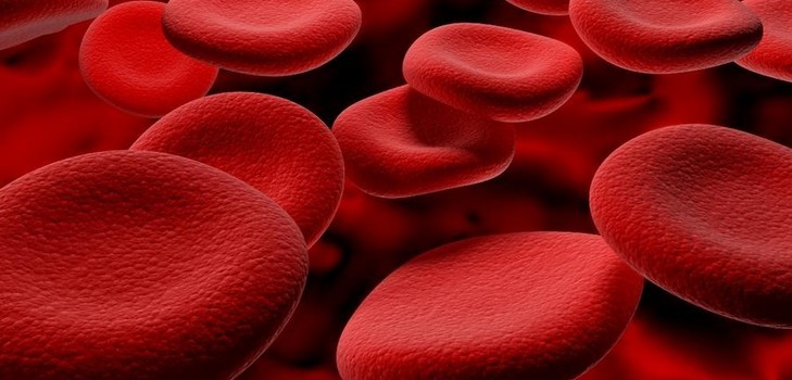 Hemoglobin v těhotenství