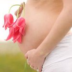 Hepatitida C a těhotenství Hepatitida C a těhotenství