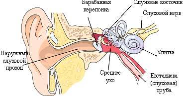 Jak zacházet s otitis v domácnosti?