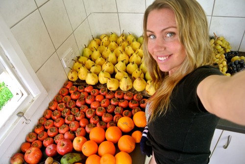 Jak se stát veganem. 9 kroků k zdravému stravování