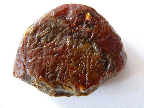 Tinktura propolisu - léčebný agent