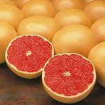 Užitečné vlastnosti grapefruitu