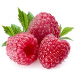 Užitečné vlastnosti maliny Užitečné vlastnosti maliny