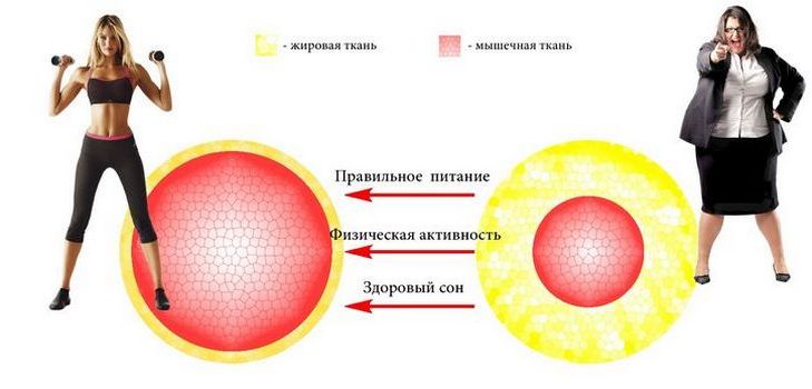Jak rozpoznat a co dělat v případě metabolických poruch