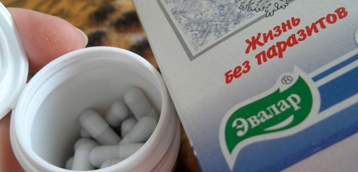Antiparazitární lék je Troychchatka Evalar. Složení. Pokyny. Recenze